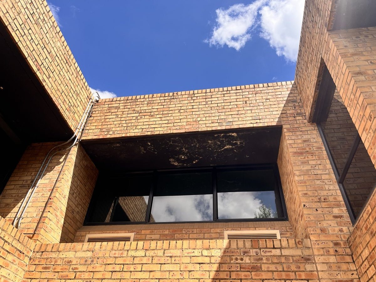 Windows
